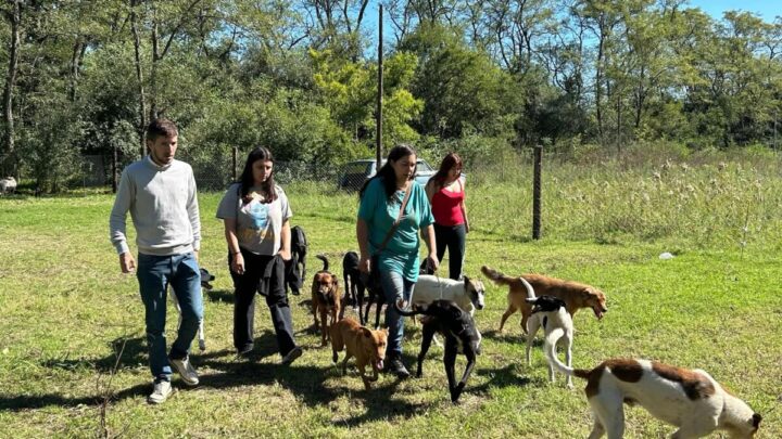 CASTELLI: El nuevo refugio para perros ya es una realidad