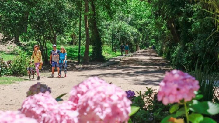 ¿Feriado o día no laborable? Cómo se considera el viernes 2 de mayo según el Gobierno