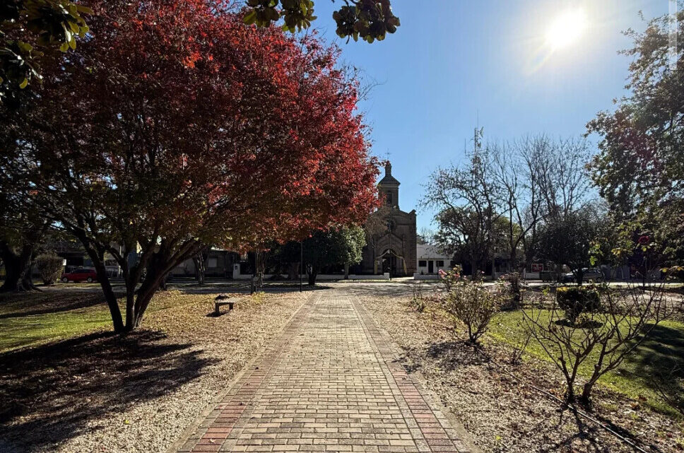 Capturando el Otoño en Pila: un concurso que celebra la belleza de la ciudad, contado por su gente Capturando el Otoño en Pila: un concurso que celebra la belleza de la ciudad, contado por su gente