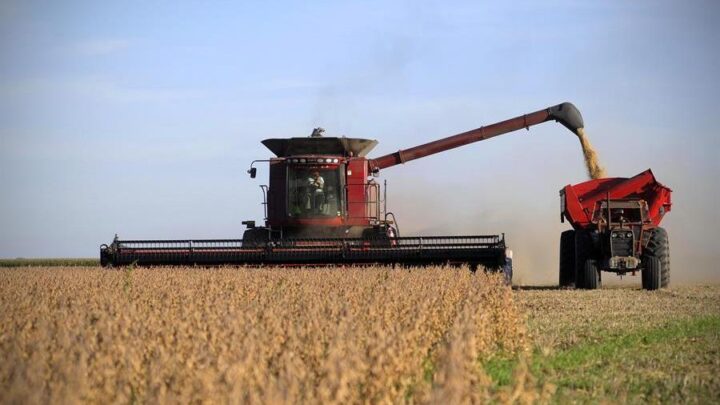 Milei anunció la baja de retenciones: cómo quedan las tasas para las exportaciones de carne y granos