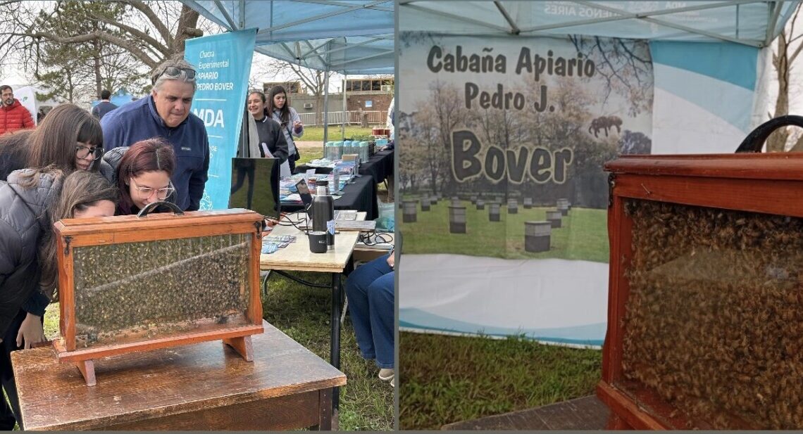 Cabaña Pedro Bover, excelencia apícola presente en la Expo Tecnología para el Desarrollo Agrario Cabaña Pedro Bover, excelencia apícola presente en la Expo Tecnología para el Desarrollo Agrario