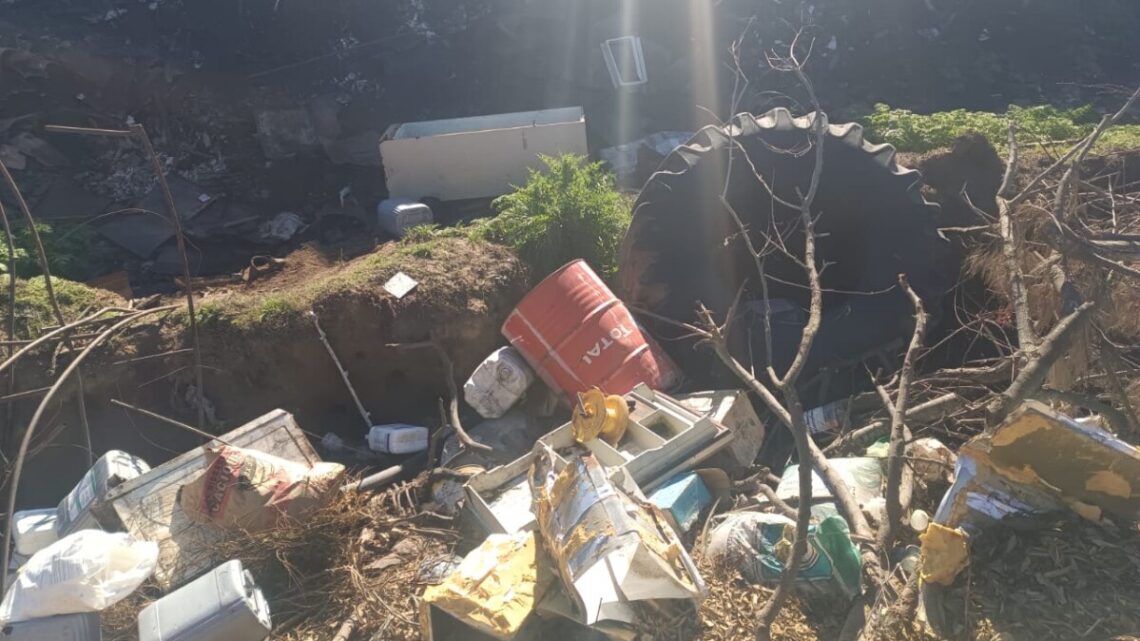 Denuncia vecinal: el abandono en la calle 102 camino a la Colonia es insostenible, basuras y ratas generan alarma Denuncia vecinal: el abandono en la calle 102 camino a la Colonia es insostenible, basuras y ratas generan alarma