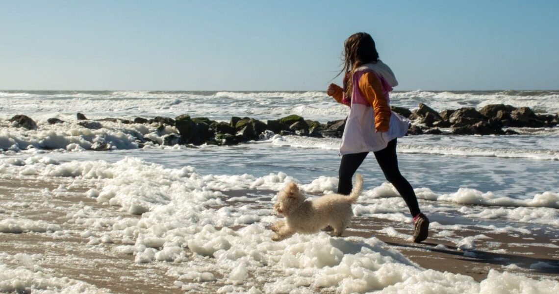 Vuelve “La Costa Invita”: descuentos especiales para disfrutar del 8 al 10 de agosto