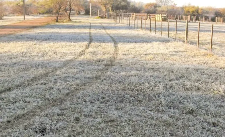 La Región: emiten alerta amarilla por bajas temperaturas