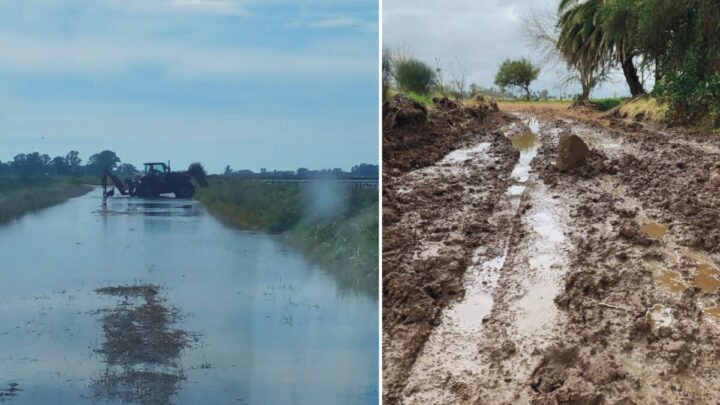 Productores reclaman a Dinápoli por desidia y abandono de los caminos rurales