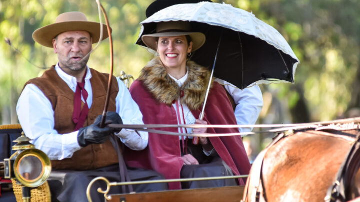 Caballos, carruajes y tradición: un paseo al pasado en Chascomús
