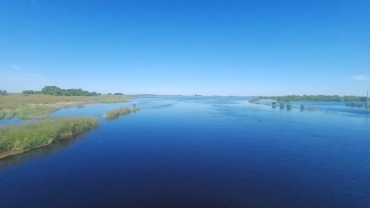 Buena pesca y descanso en familia: los arroyos y lagunas que hacen brillar a Pila