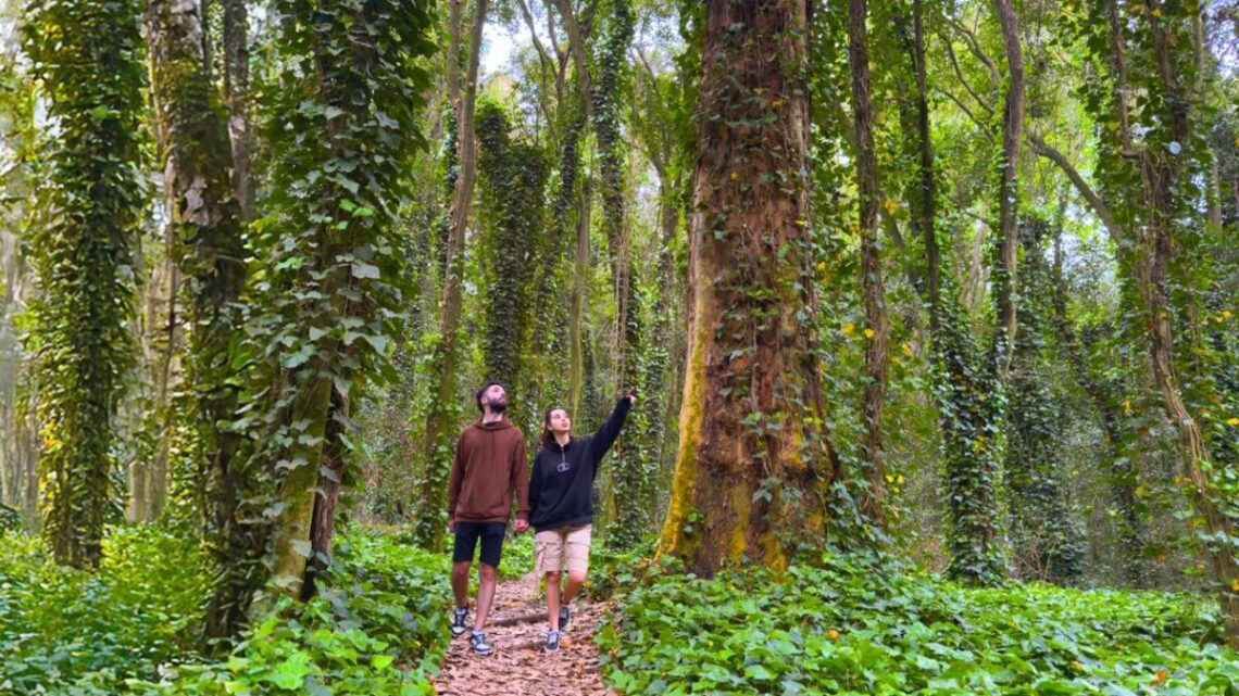 ¡Votá! El Bosque Encantado quiere ser campeón Mundial de Turismo Rural