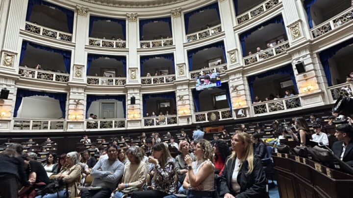 Parlamento Juvenil: los jóvenes debatieron y propusieron en la Legislatura Bonaerense