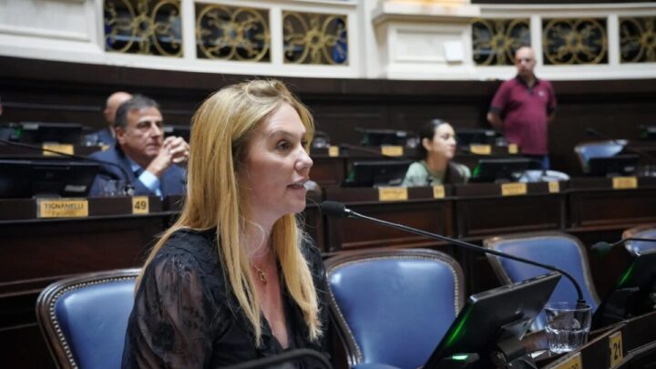 Marcela Basualdo celebró la Ley de Financiamiento y su impacto en los municipios