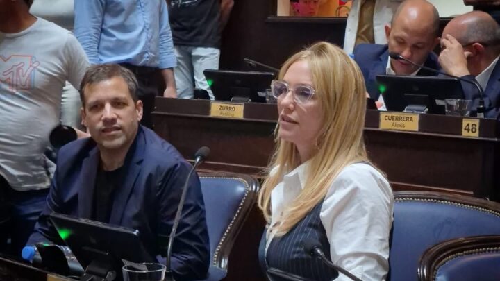 Avanza una ley que agiliza los procesos de adopción en la Provincia