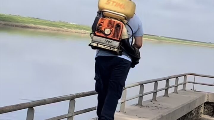 Ranchos intensifica el combate contra los jejenes