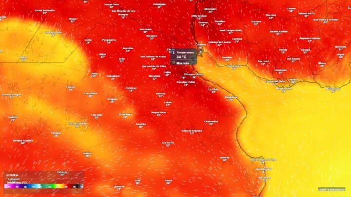 Alerta por ola de calor en la Provincia: el 31 será uno de los días más calurosos