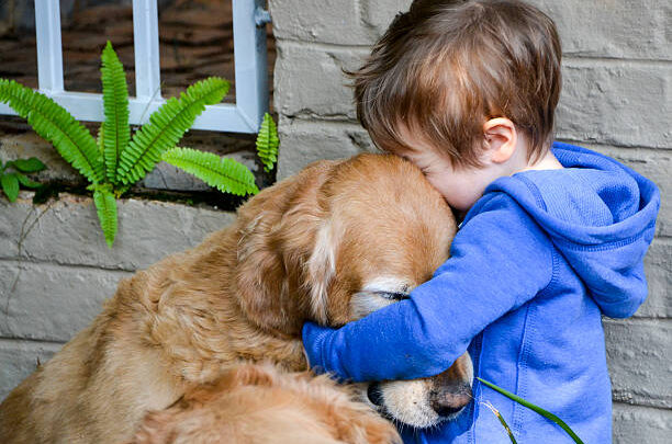 Nochebuena bajo la lupa: crece la expectativa por una celebración sin pirotecnia