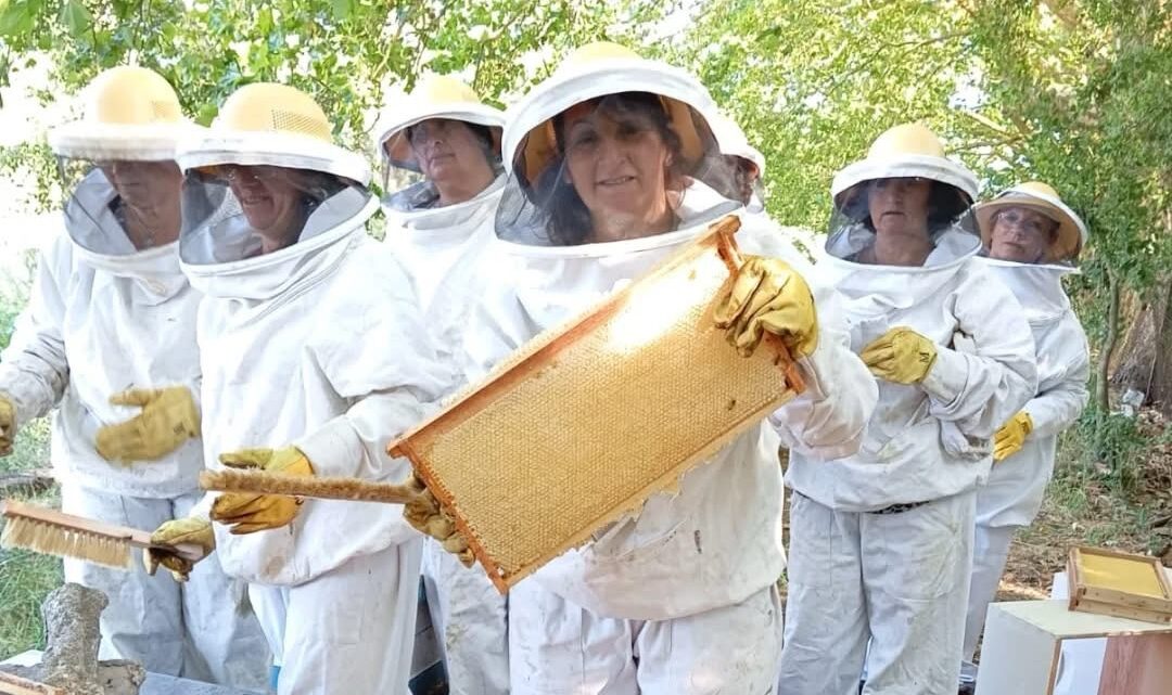 Trabajo, constancia y futuro: las apicultoras de Pila lograron su primera cosecha del año
