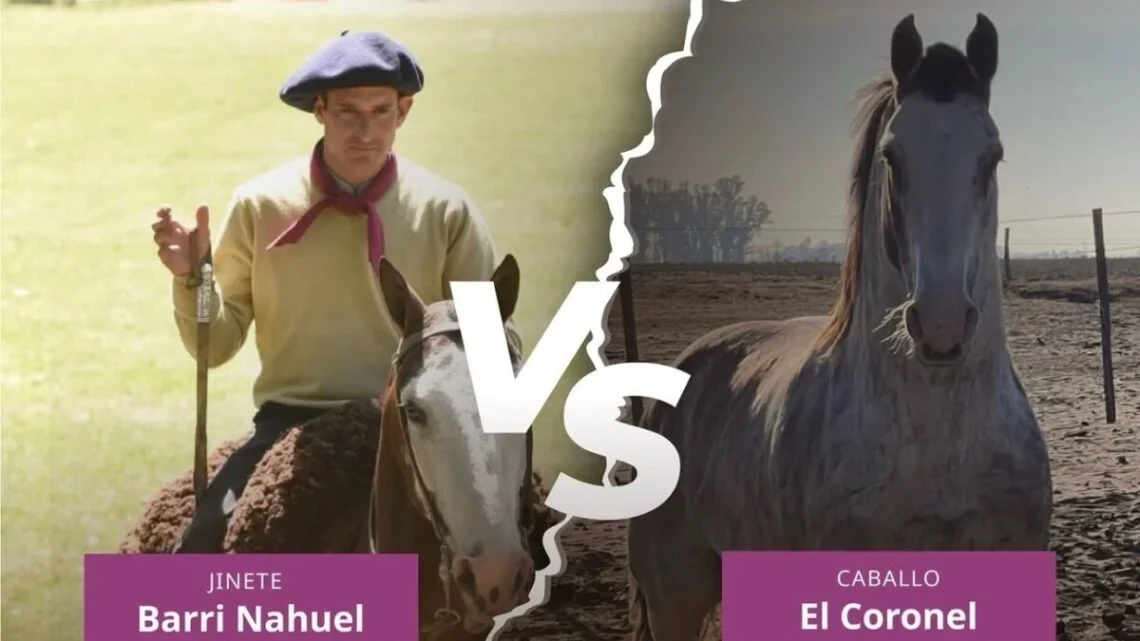 El Coronel, el caballo que llega a Ayacucho y revolucionó la Fiesta Nacional del Ternero