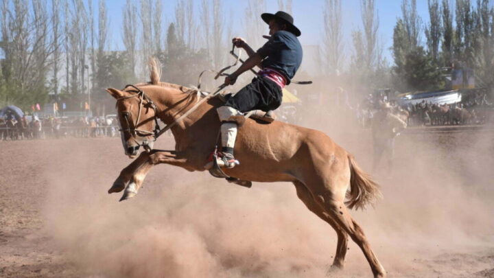 Tradición y premios récord: gran jineteada en General Belgrano en la Ex Estación Bonnement