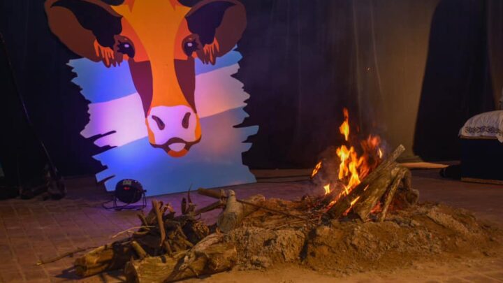 Ayacucho: Fiesta del Ternero con ocupación plena en alojamientos y expectativa histórica