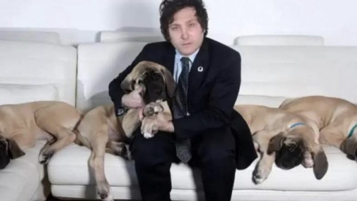 Duelo en Olivos: murió Robert, el perro que “contenía emocionalmente” a Milei