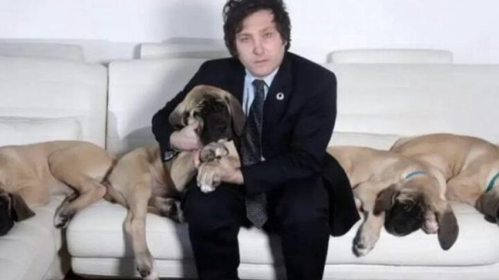 Duelo en Olivos: murió Robert, el perro que “contenía emocionalmente” a Milei