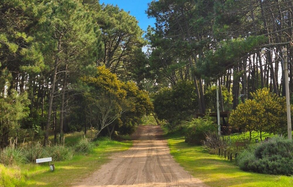Mar de las Pampas busca reconocimiento internacional como destino sostenible
