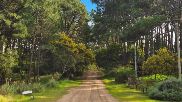 Mar de las Pampas busca reconocimiento internacional como destino sostenible