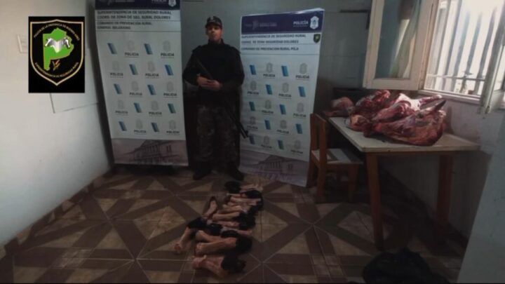 Esclarecieron un abigeato en Pila tras un importante trabajo de monitoreo y la Policía
