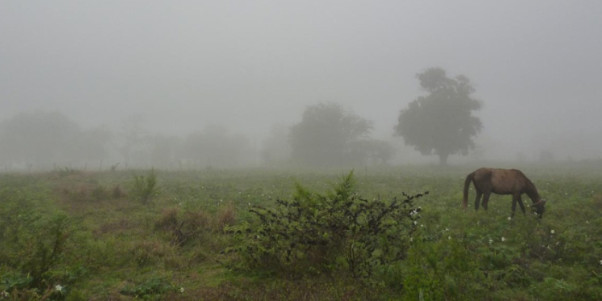 Atención bonaerenses: prevén un invierno lluvioso en gran parte de la provincia