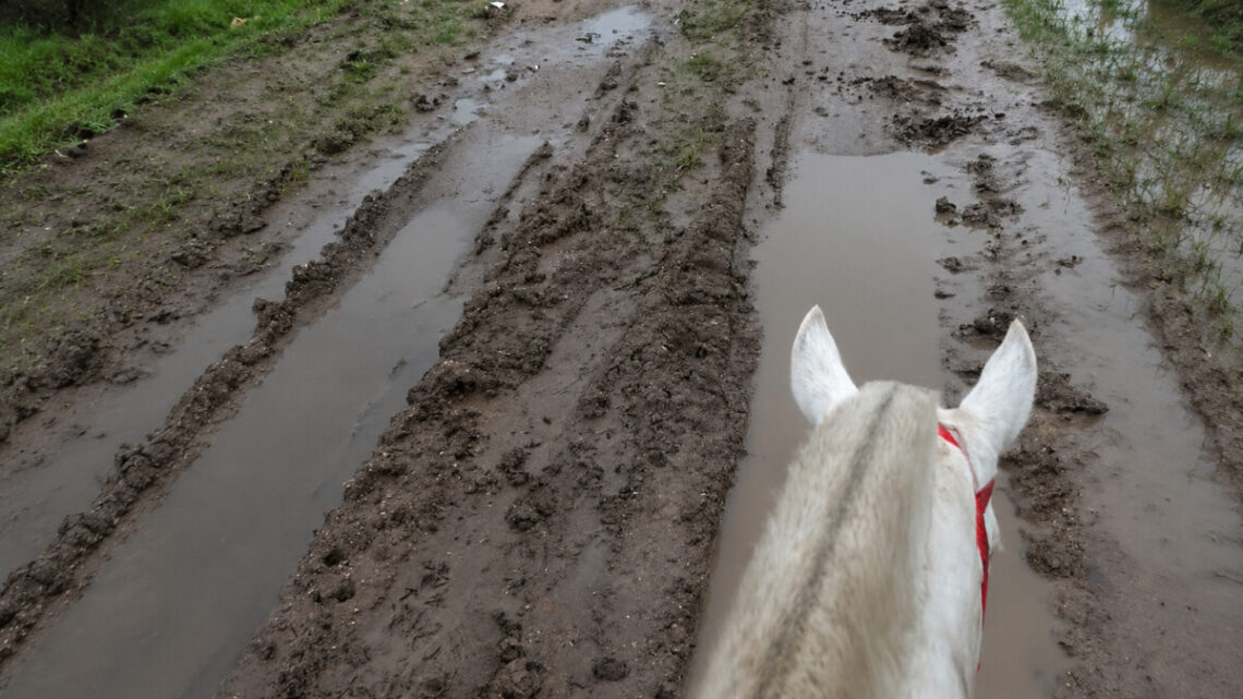 Abandono y desidia en los caminos rurales de General Guido: vecinos deben salir a caballo
