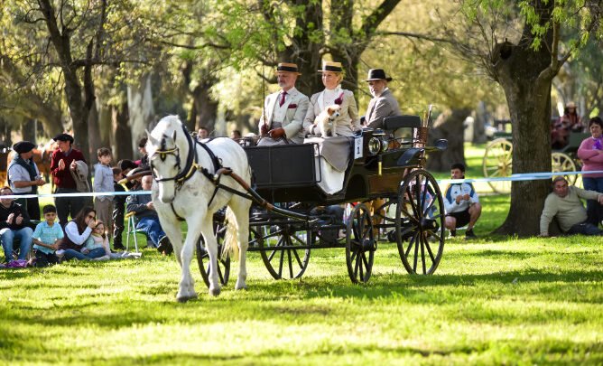 Chascomús se prepara para una nueva edición del Encuentro del Caballo y el Carruaje