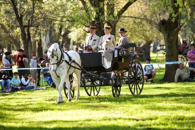 Chascomús se prepara para una nueva edición del Encuentro del Caballo y el Carruaje