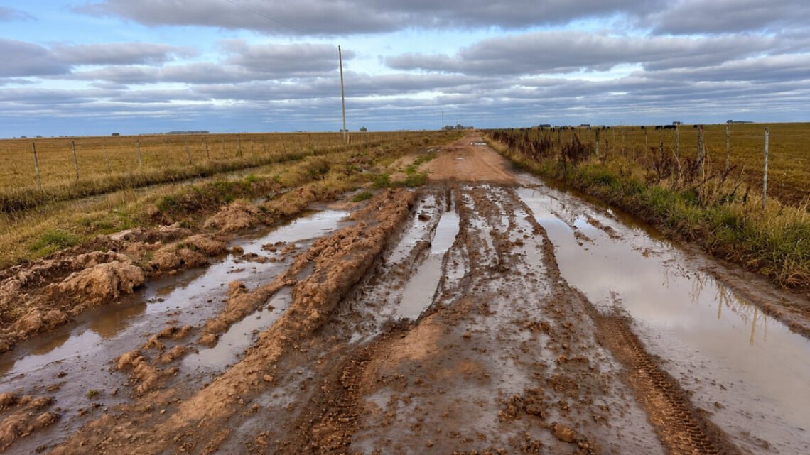 General Guido: productores llevaron a la Justicia el reclamo por el estado de los caminos rurales
